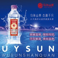 乌孙山泉天然山泉水310ml