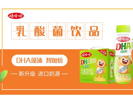 娃哈哈饮品惊喜上新，DHA藻油乳酸菌很受欢迎